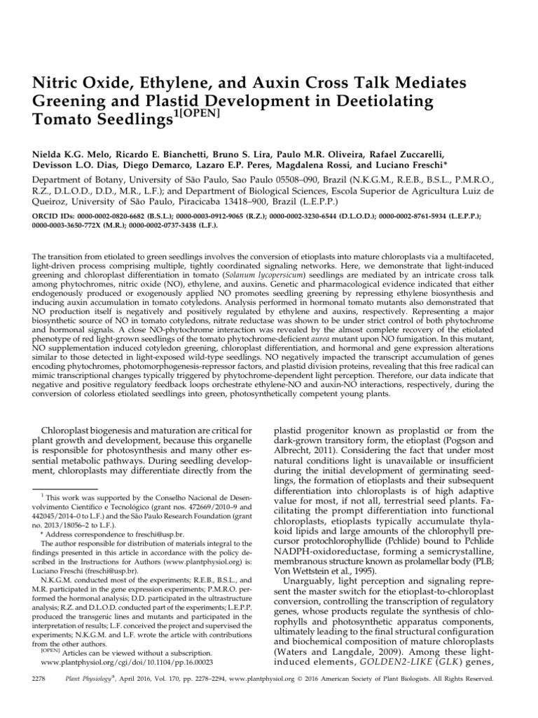 Nitric Oxide and Ethylene in Tomato Greening | PDF | Plant Hormone ...
