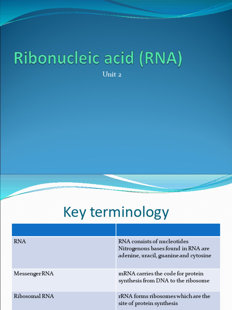 3.ribonucleic Acid (RNA) - Unit 2 | PDF | Rna | Translation (Biology)