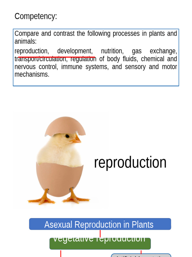 Plant vs. Animal Reproduction Processes | PDF | Plant Morphology ...