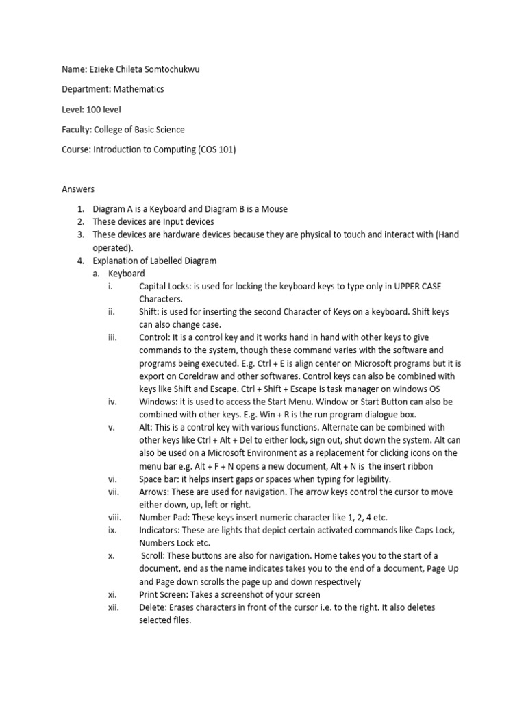 Cos 101 Second Assignment | PDF | Computer Keyboard | Control Key