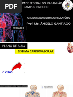 Anatomia das Veias Cavas e Ázigos | PDF | Veia | Sistema linfático