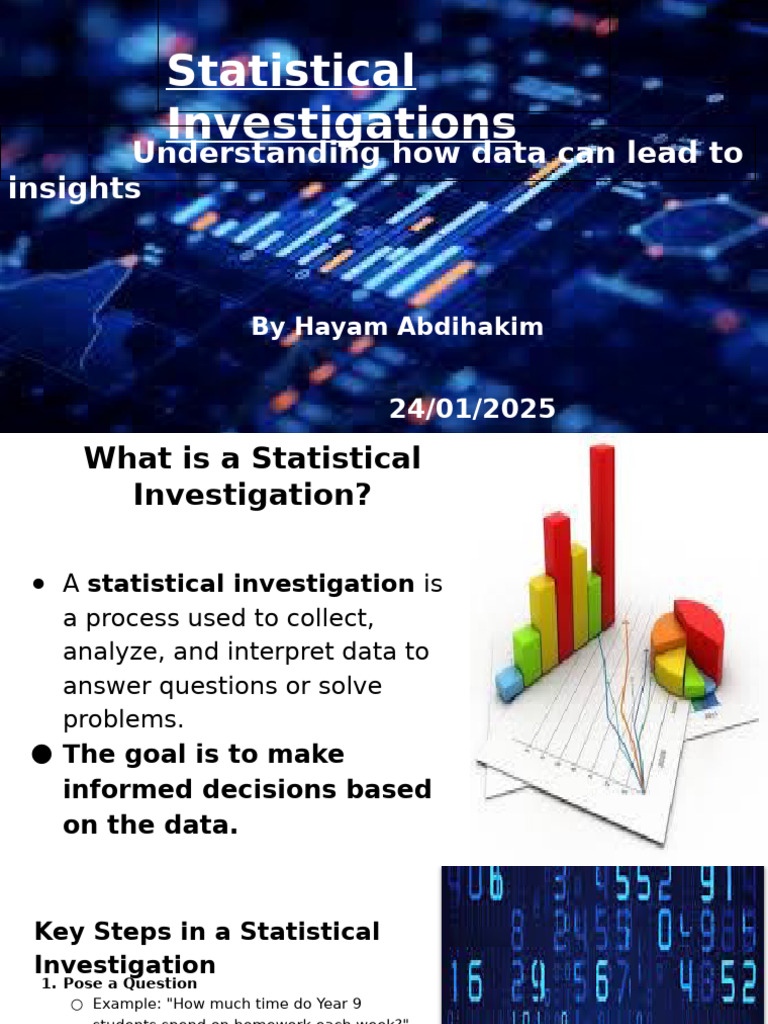 Statistical Investigations Explained | PDF