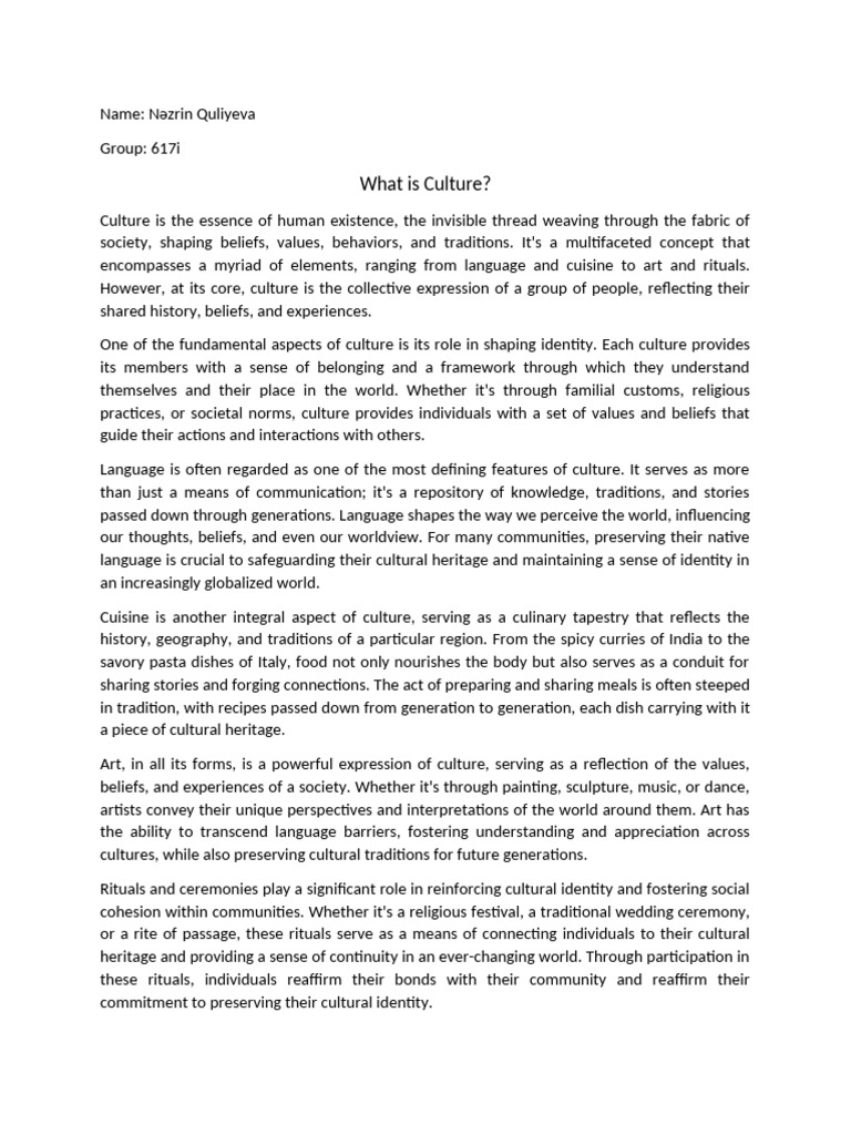 what-is-culture-pdf-traditions-identity-social-science