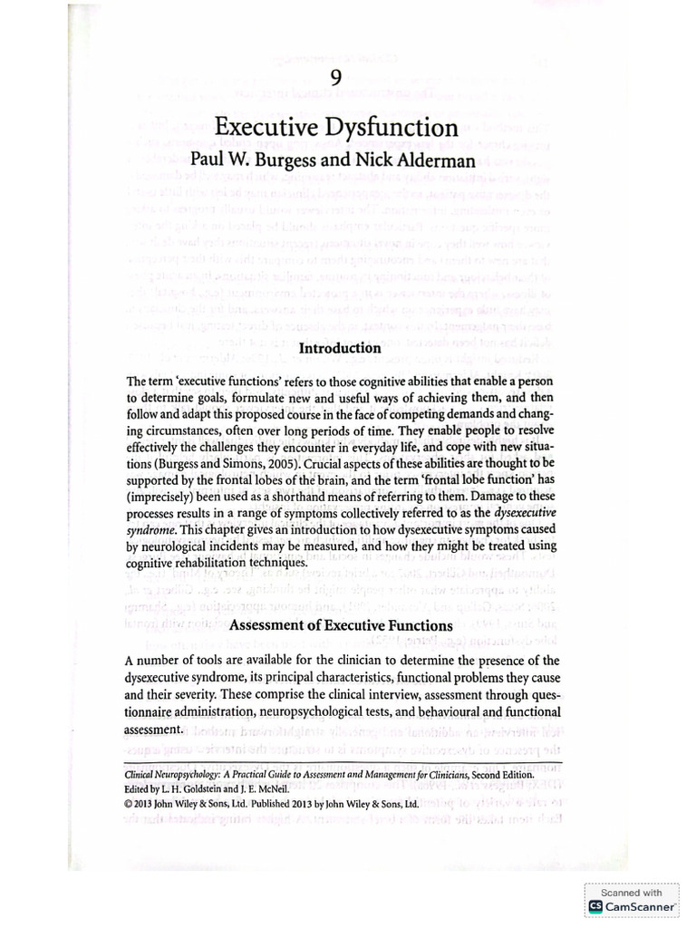 Executive Dysfunction | PDF