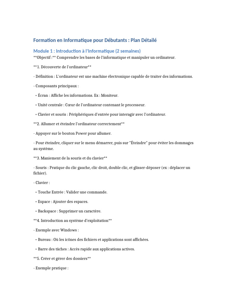 Formation Informatique Débutants : Guide Complet | PDF | Microsoft Word ...