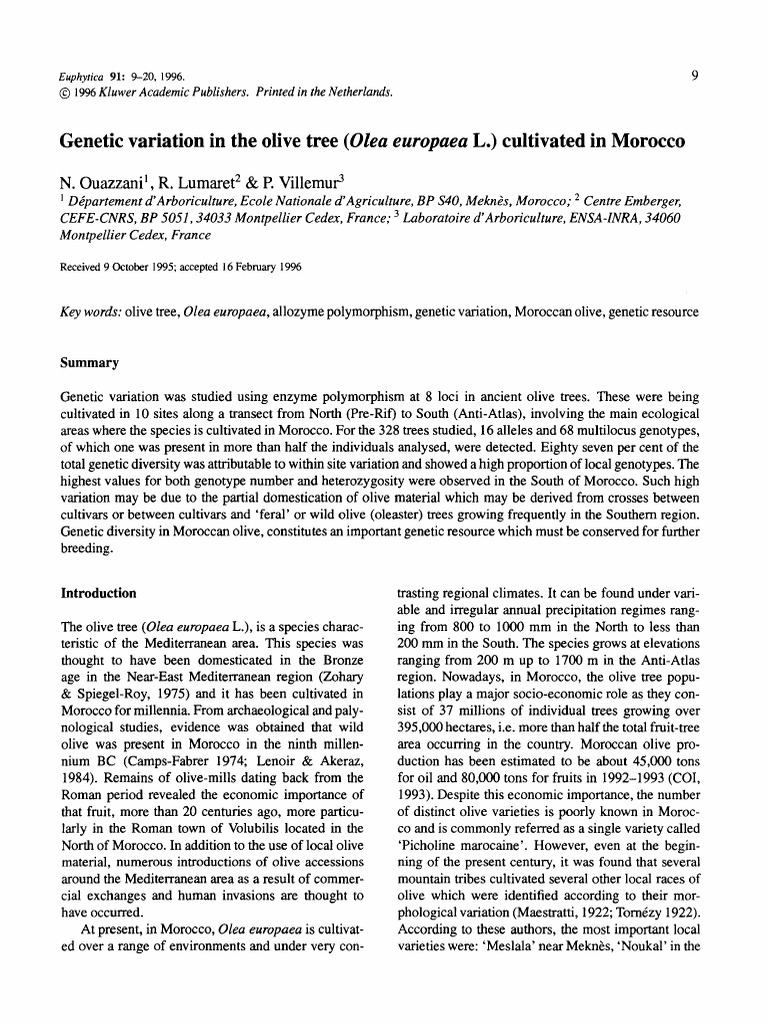 Genetic Diversity of Moroccan Olive Trees | PDF | Zygosity | Olive
