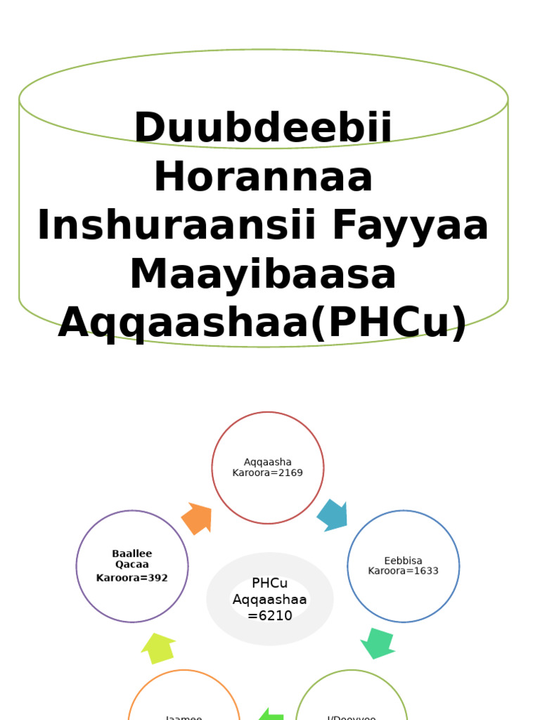 CBHI Report: Eebbisa & Baallee Analysis | PDF