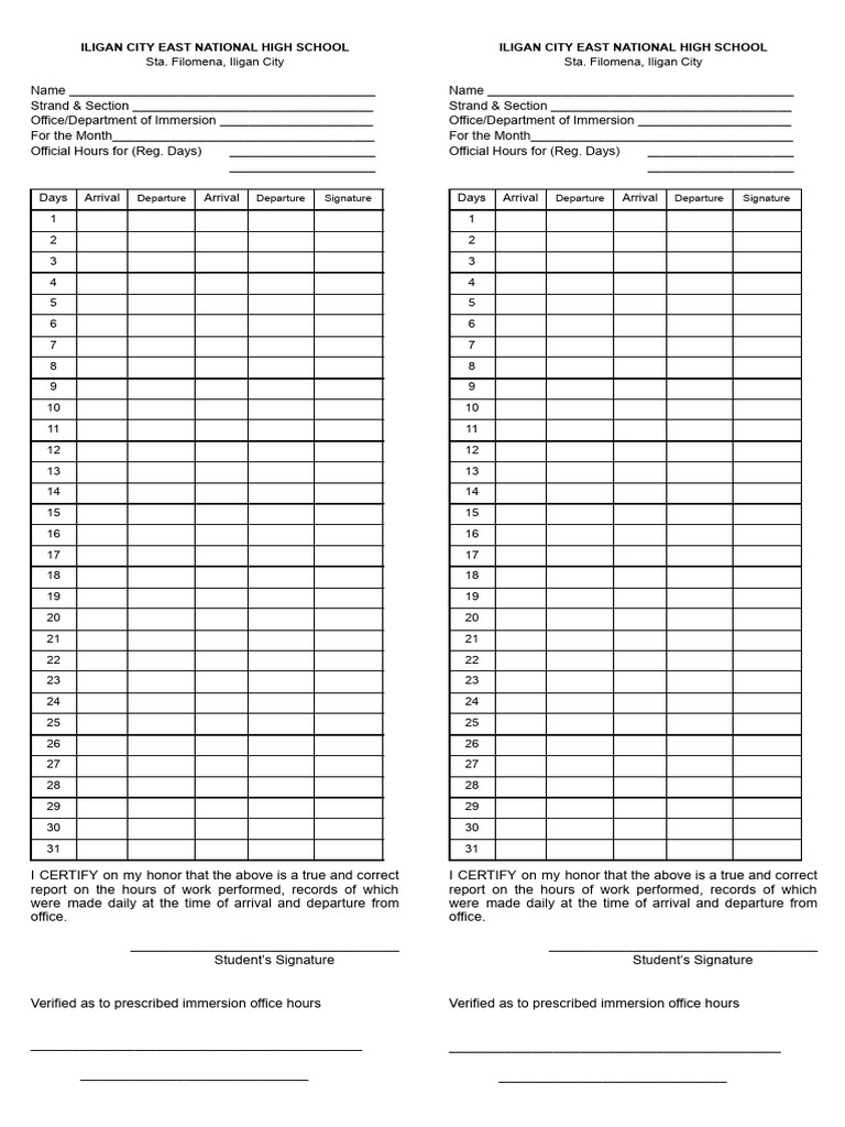 DTR Immersion Hours Report | PDF