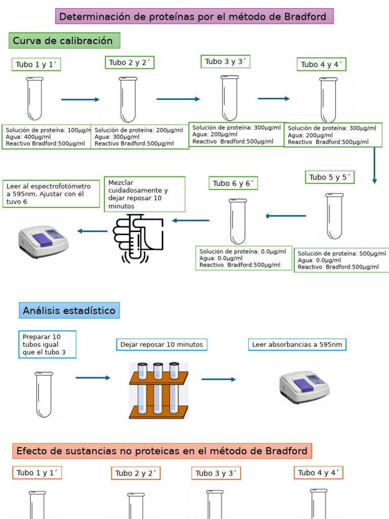 Método Bradford para Determinación de Proteínas PDF Química — free download