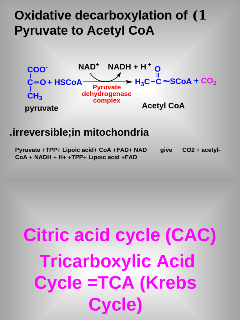 Pyruvate to Acetyl CoA and TCA Cycle | PDF | Citric Acid Cycle | Chemistry