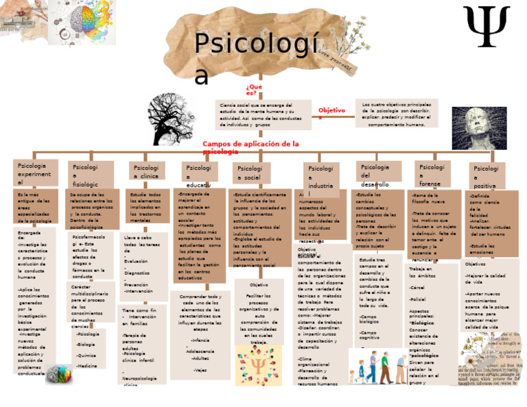 Mapa Mental de La Psicologia 7 | PDF | Sicología | Mente