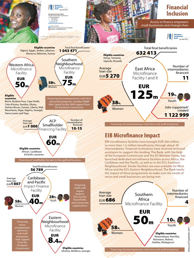 Microfinance for Small Enterprises | PDF | Microfinance | Economies