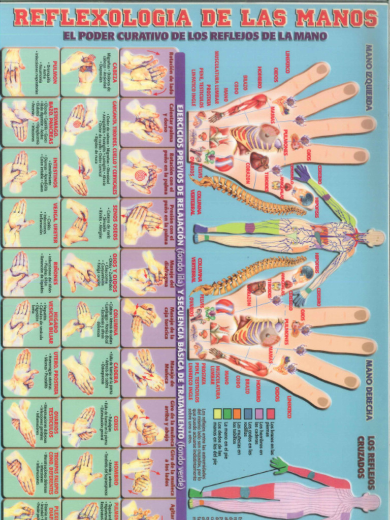 (Mapas) - Reflexologia en Las Manos | PDF