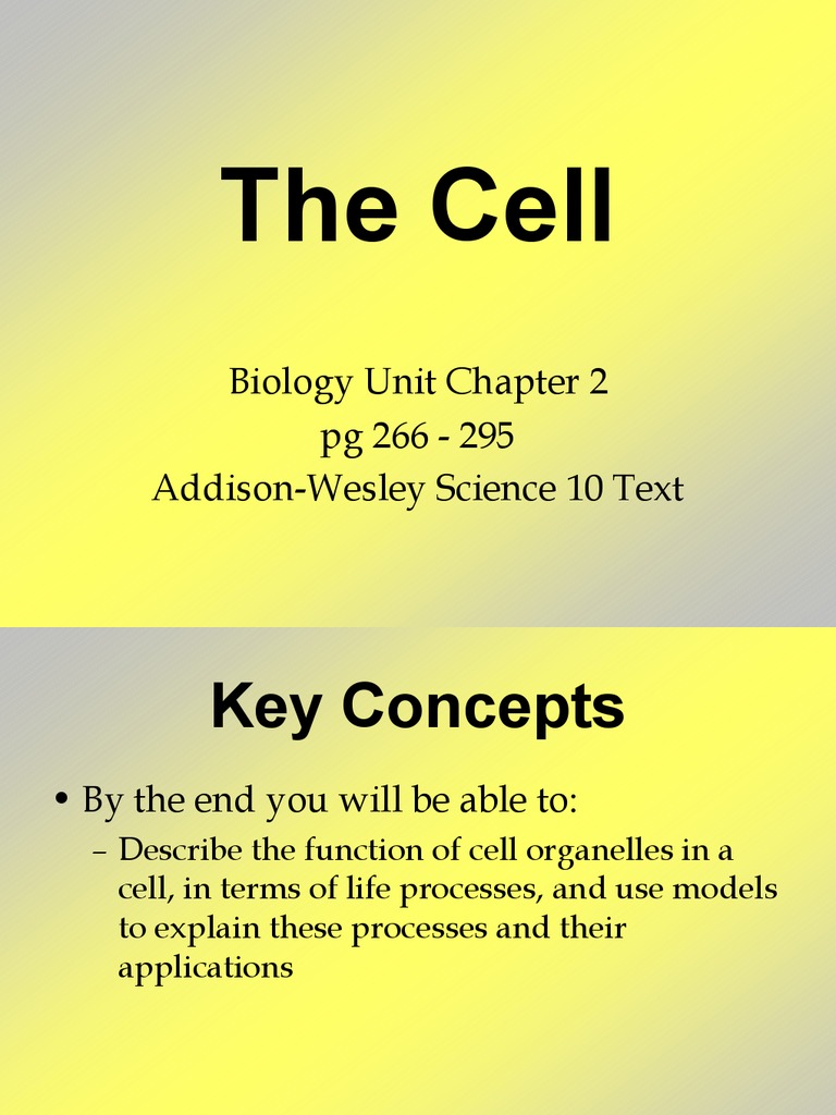 Biology Unit Chapters 2 and 3 Plus IB | PDF | Leaf | Cell Membrane