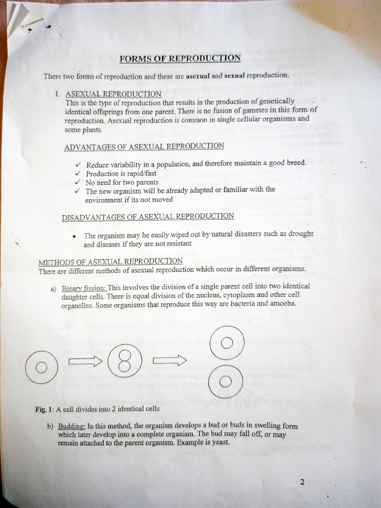 Asexual and Sexual Reproduction Explained | PDF | Flowers | Pollination