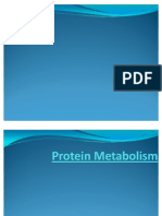 General Protein Metabolism