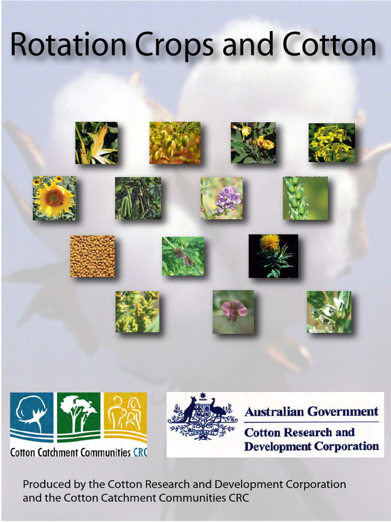 Rotation Crops & Cotton - Chart - Back - Pages | PDF | Pest (Organism ...