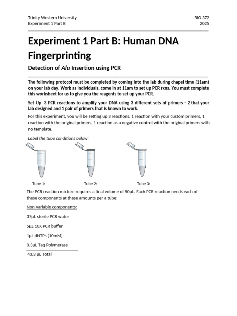 Alu Experiment Part II SP25 | PDF | Polymerase Chain Reaction | Primer ...