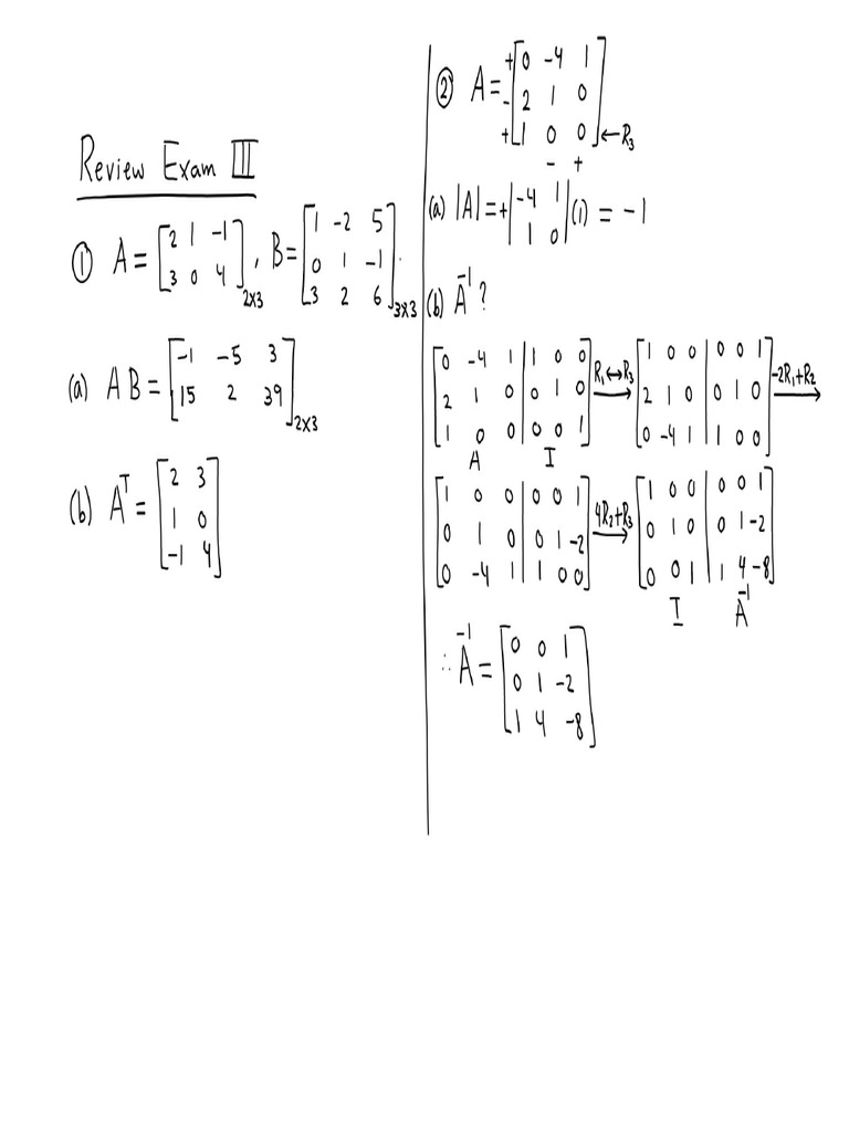 Review Exam III | PDF