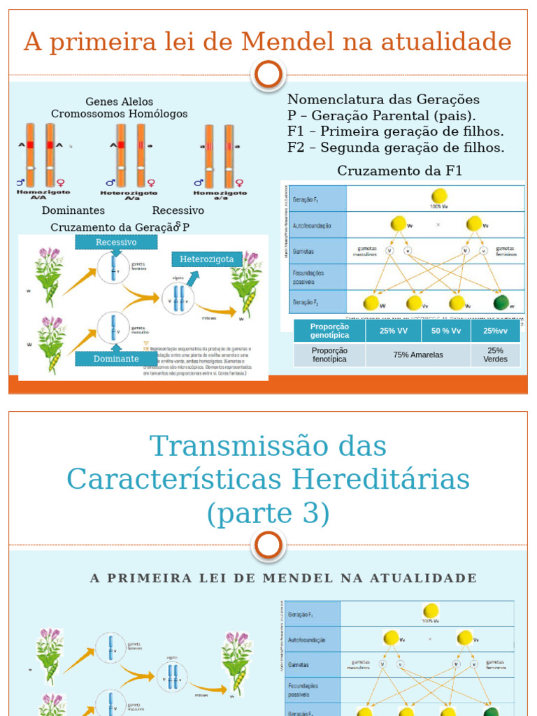Transmissão Das Características Hereditárias (Parte 3) | PDF ...