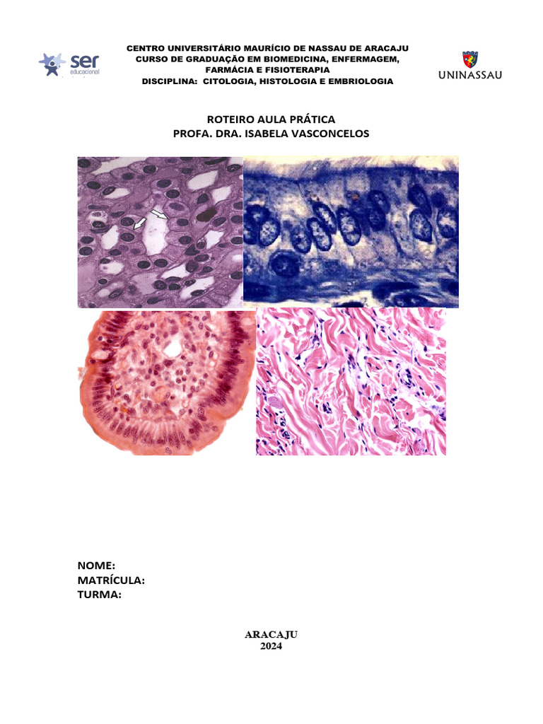 Roteiro de Aula Prática: Citologia e Histologia | PDF | Mitose | Tecido ...