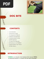 RIG Infiltration Guidelines for Rabies | PDF | Injection (Medicine ...