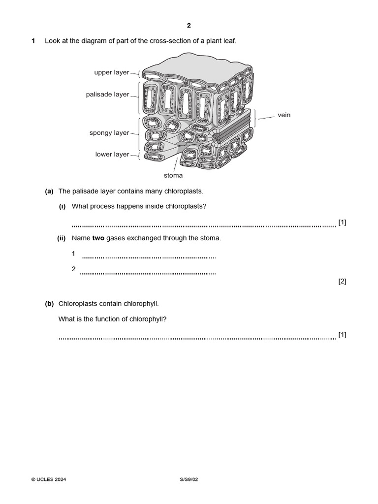 Plant And Atomic Structure Concepts Pdf Chlorine Materials
