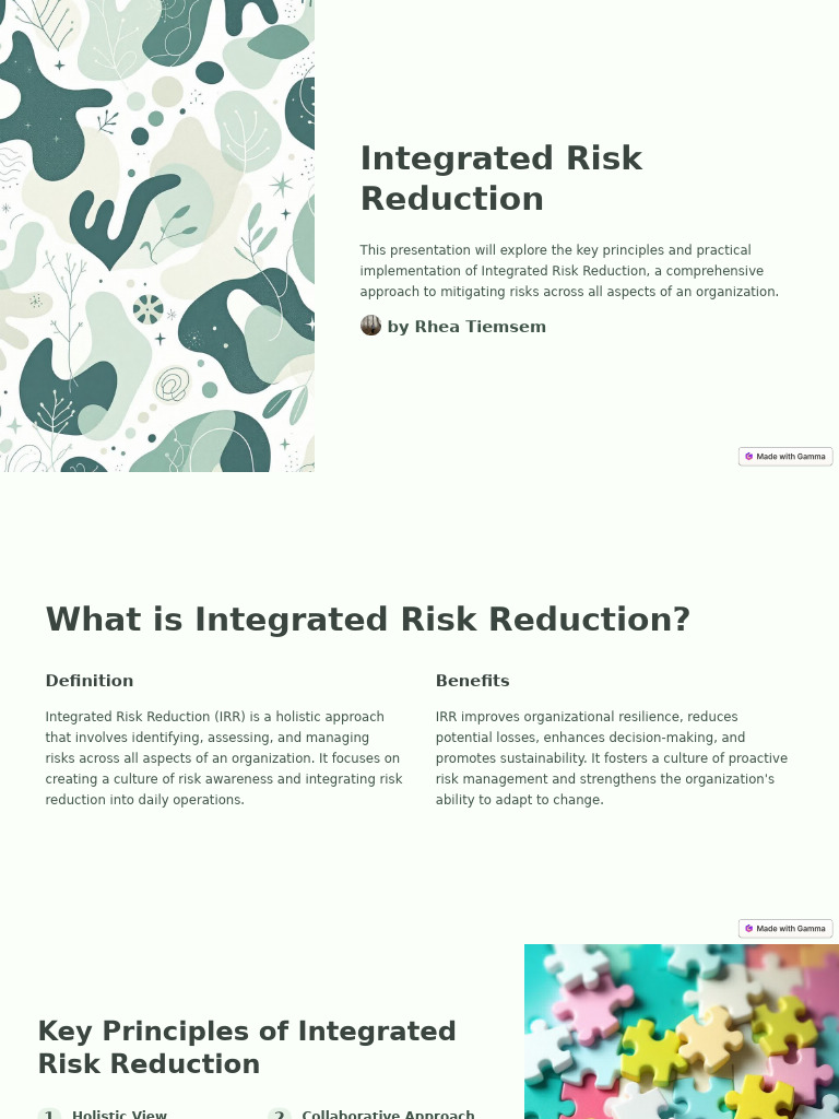 Integrated Risk Reduction Overview | PDF | Risk Management | Risk