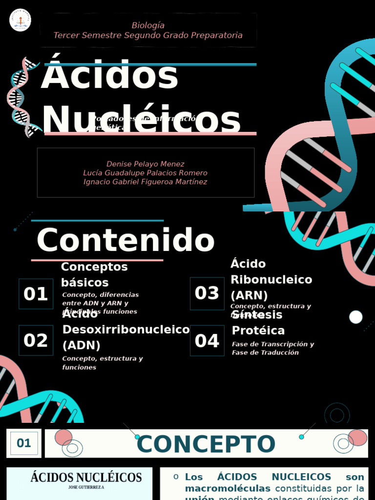 Ácidos Nucleicos y Síntesis Proteica | PDF | Rna | Adn