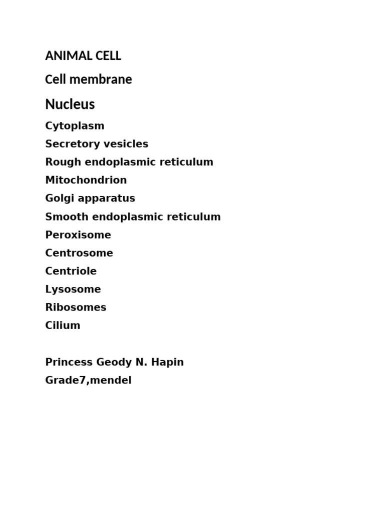Animal Cell | PDF