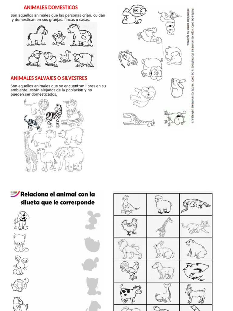 Animales Domesticos y Salvajes | PDF