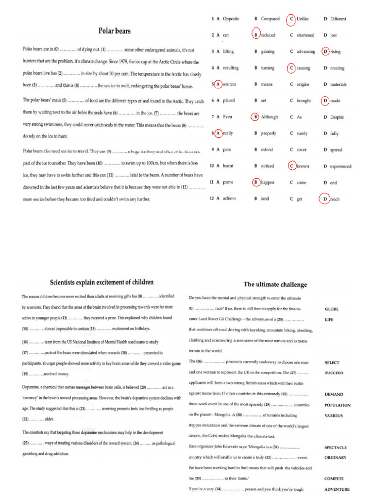Test 1 UOE | PDF