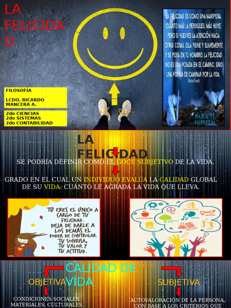 La Felicidad y su Sentido en la Vida | PDF
