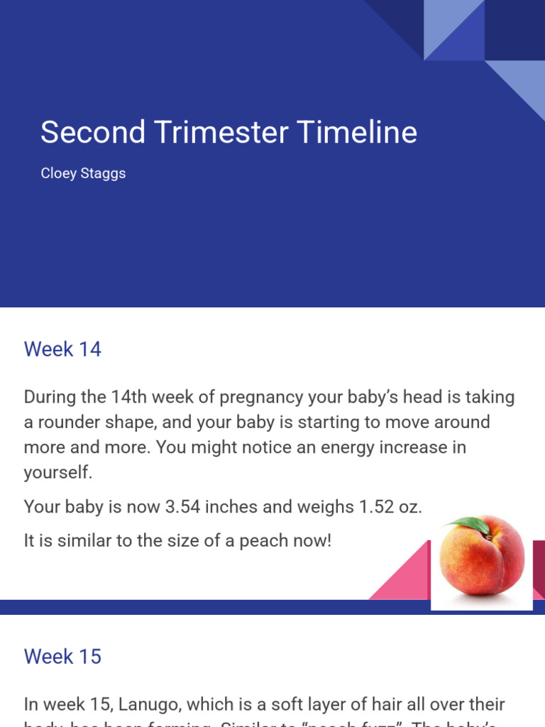 Second Trimester Pregnancy Guide | PDF