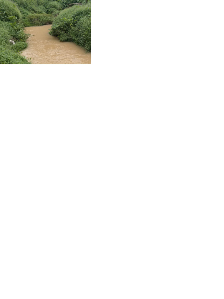 Riparian | PDF