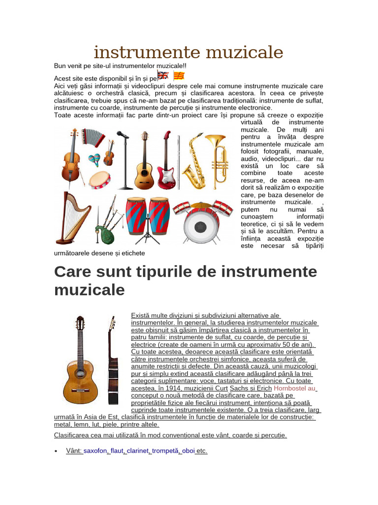 Instrumente Muzicale | PDF