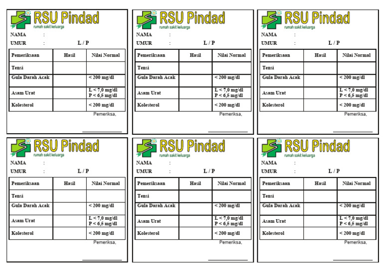 Form Cek GDL RSU Pindad | PDF