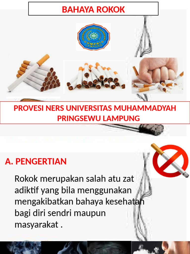 Bahaya dan Dampak Rokok | PDF