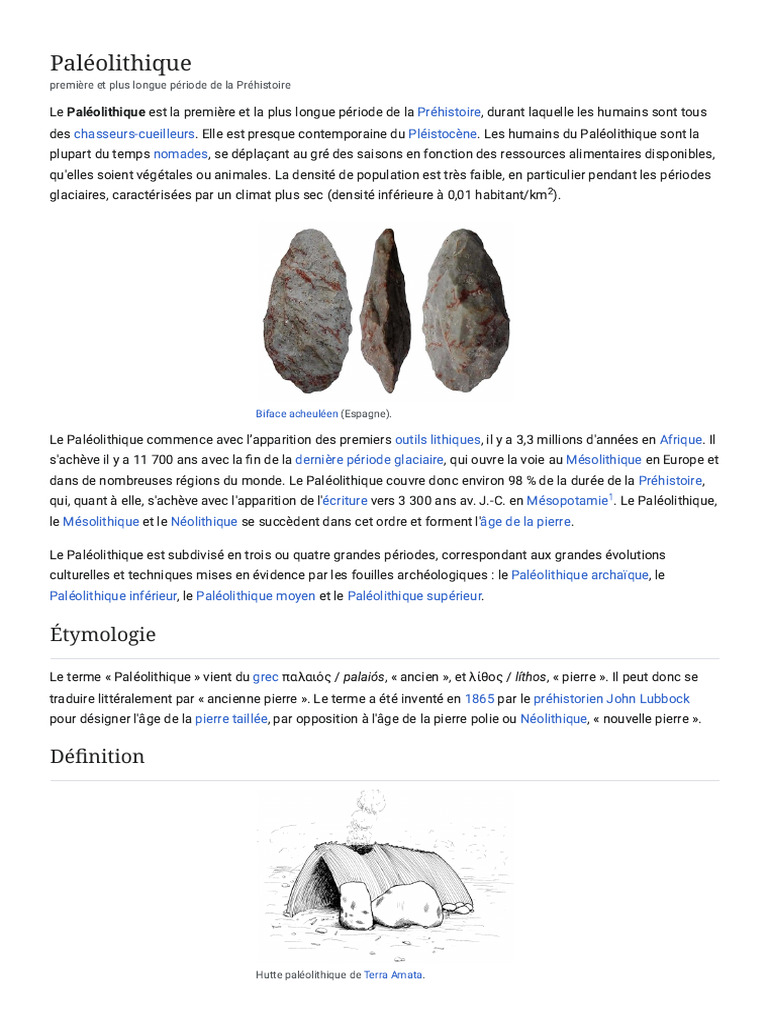 Définition et caractéristiques du Paléolithique | PDF | Paléolithique ...