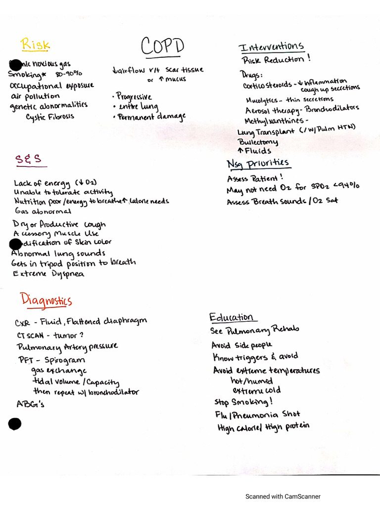 COPD Info | PDF