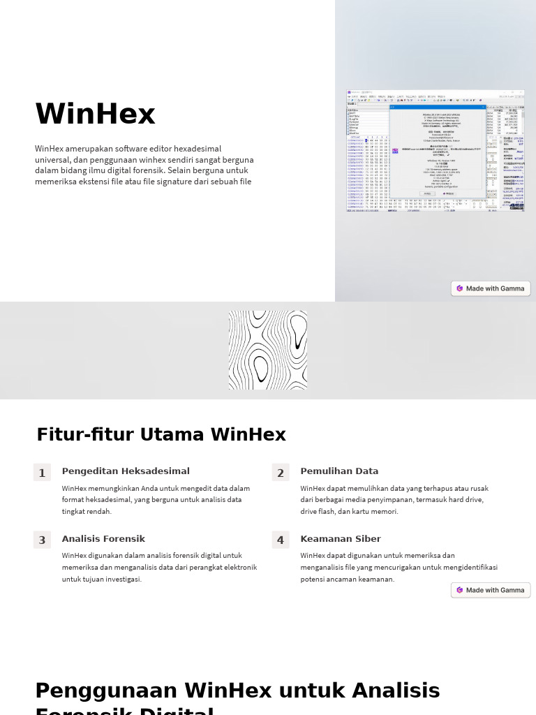 WinHex: Solusi Forensik Digital dan Data | PDF