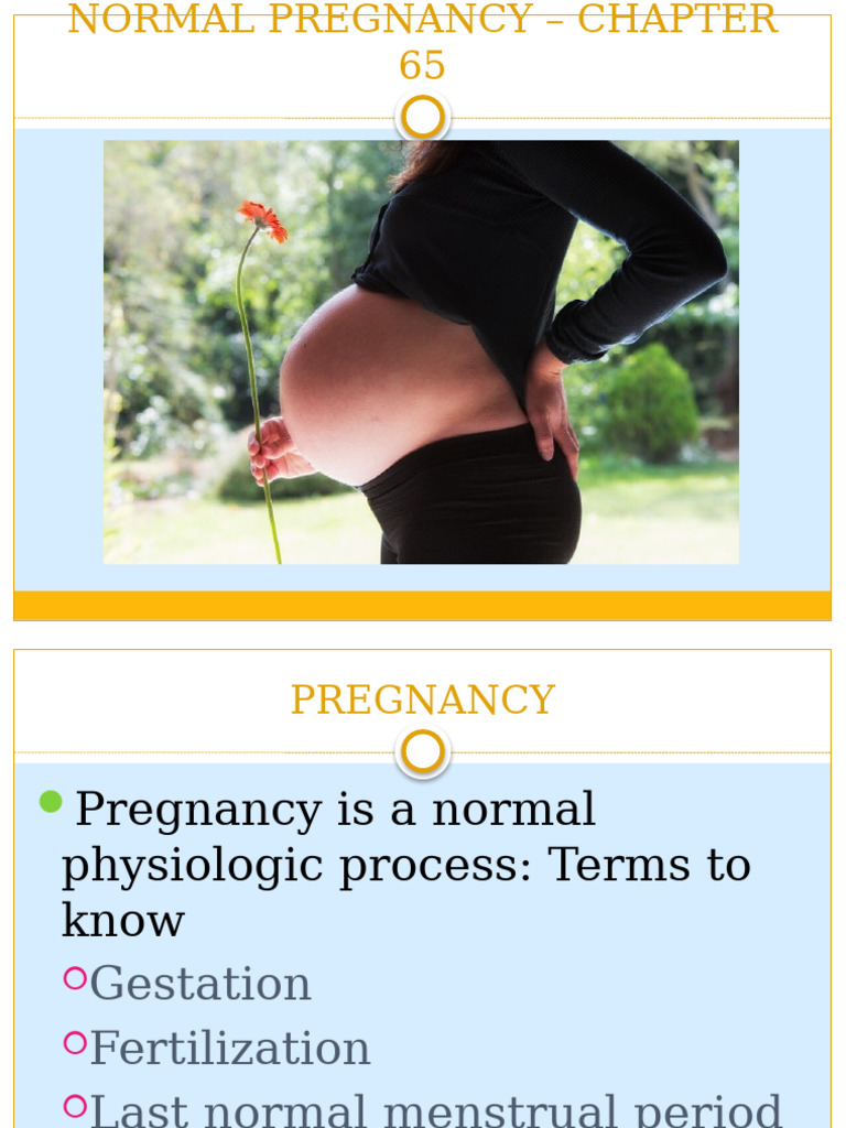 Understanding Normal Pregnancy Stages | PDF | Fetus | Pregnancy