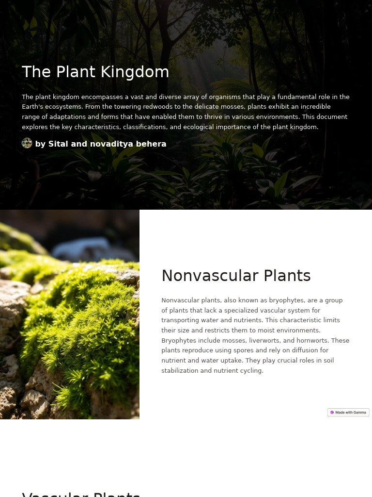 Exploring the Plant Kingdom's Diversity | PDF | Plants | Trees