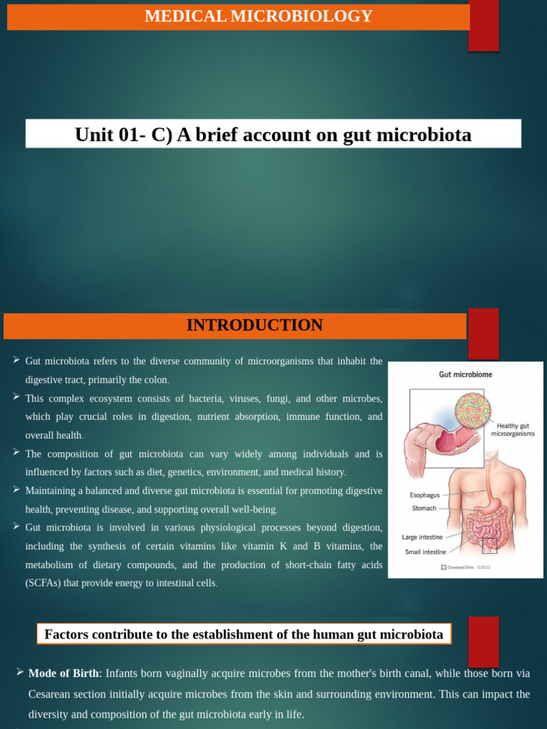 Understanding Gut Microbiota Dynamics | PDF | Gastrointestinal Tract ...