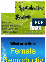 Female Reproductive System