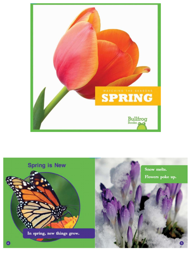 Spring | PDF