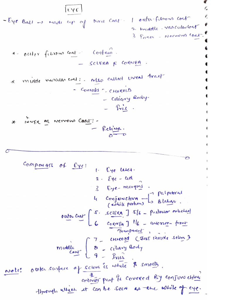 Anatomy of the Human Eye | PDF