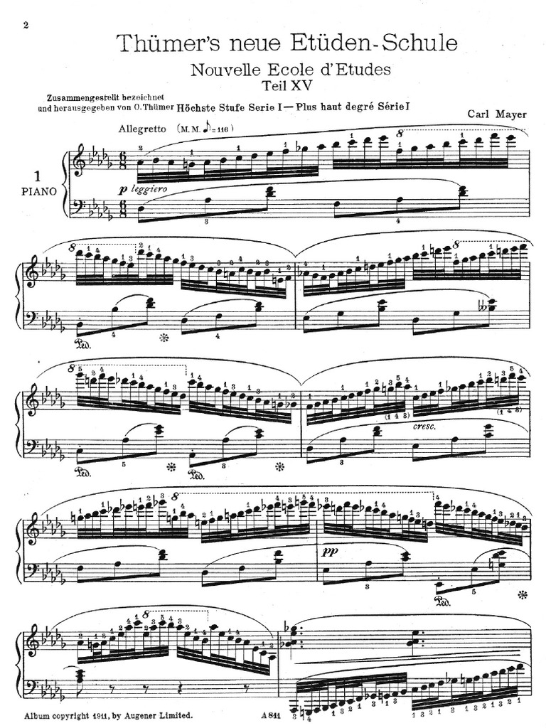 Mayer Study | PDF