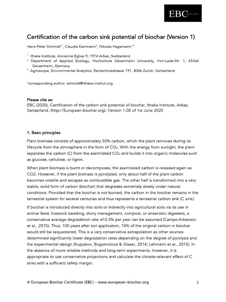 Biochar Carbon Sink Certification Guide | PDF | Greenhouse Gas | Pyrolysis