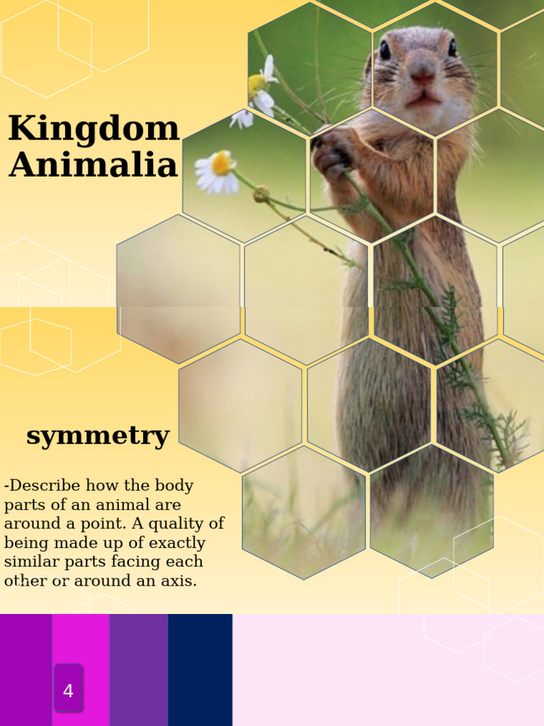 Science Report Pdf Anatomy Reproduction